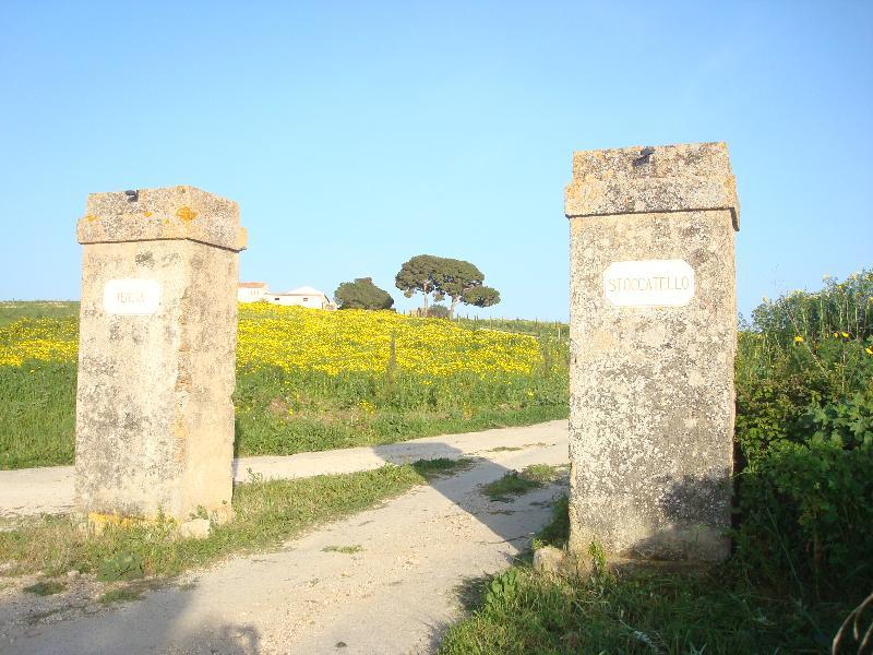 Agriturismo Tenuta Stoccatello Menfi Dış mekan fotoğraf