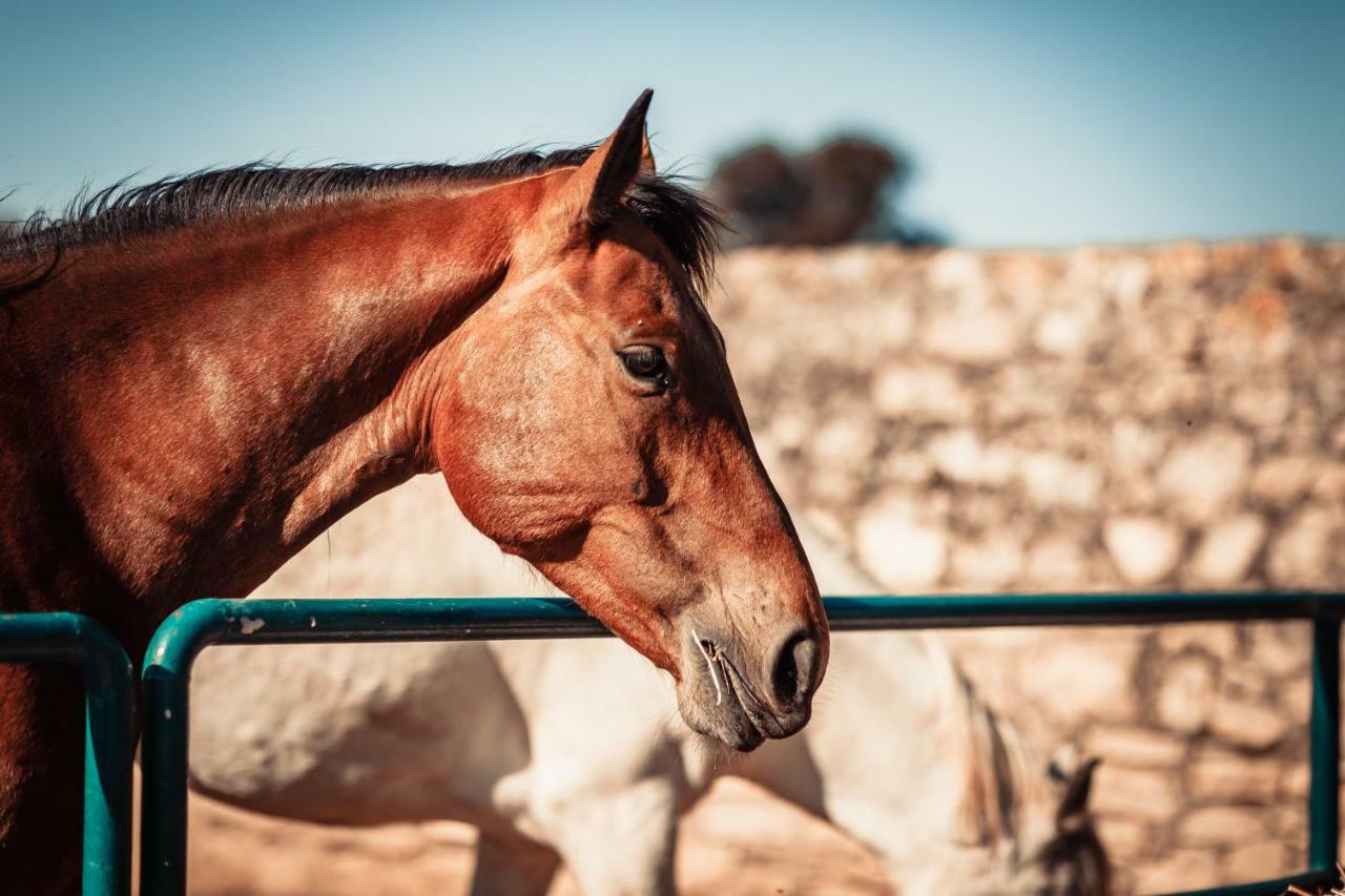 Agriturismo Tenuta Stoccatello Menfi Dış mekan fotoğraf