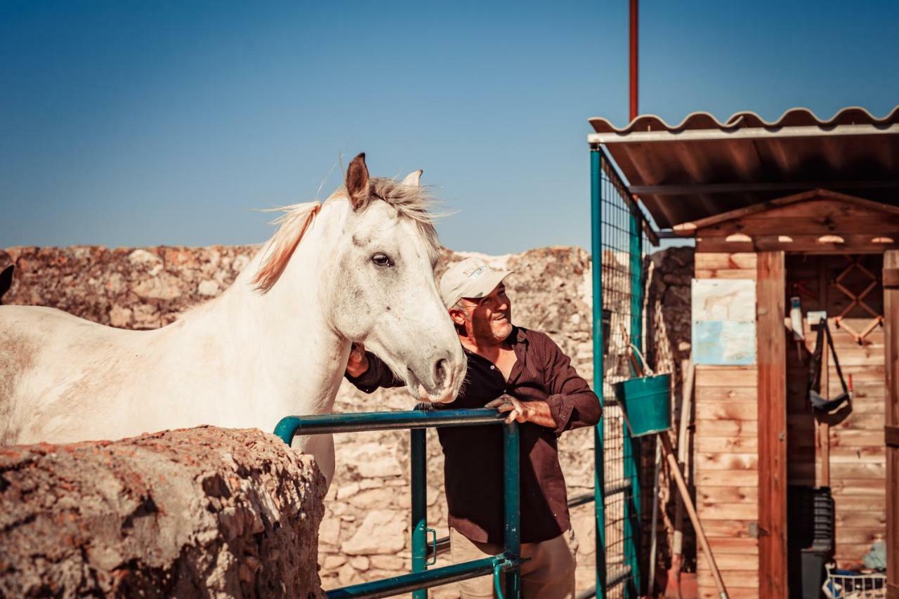 Agriturismo Tenuta Stoccatello Menfi Dış mekan fotoğraf
