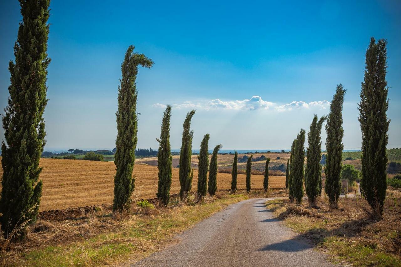 Agriturismo Tenuta Stoccatello Menfi Dış mekan fotoğraf